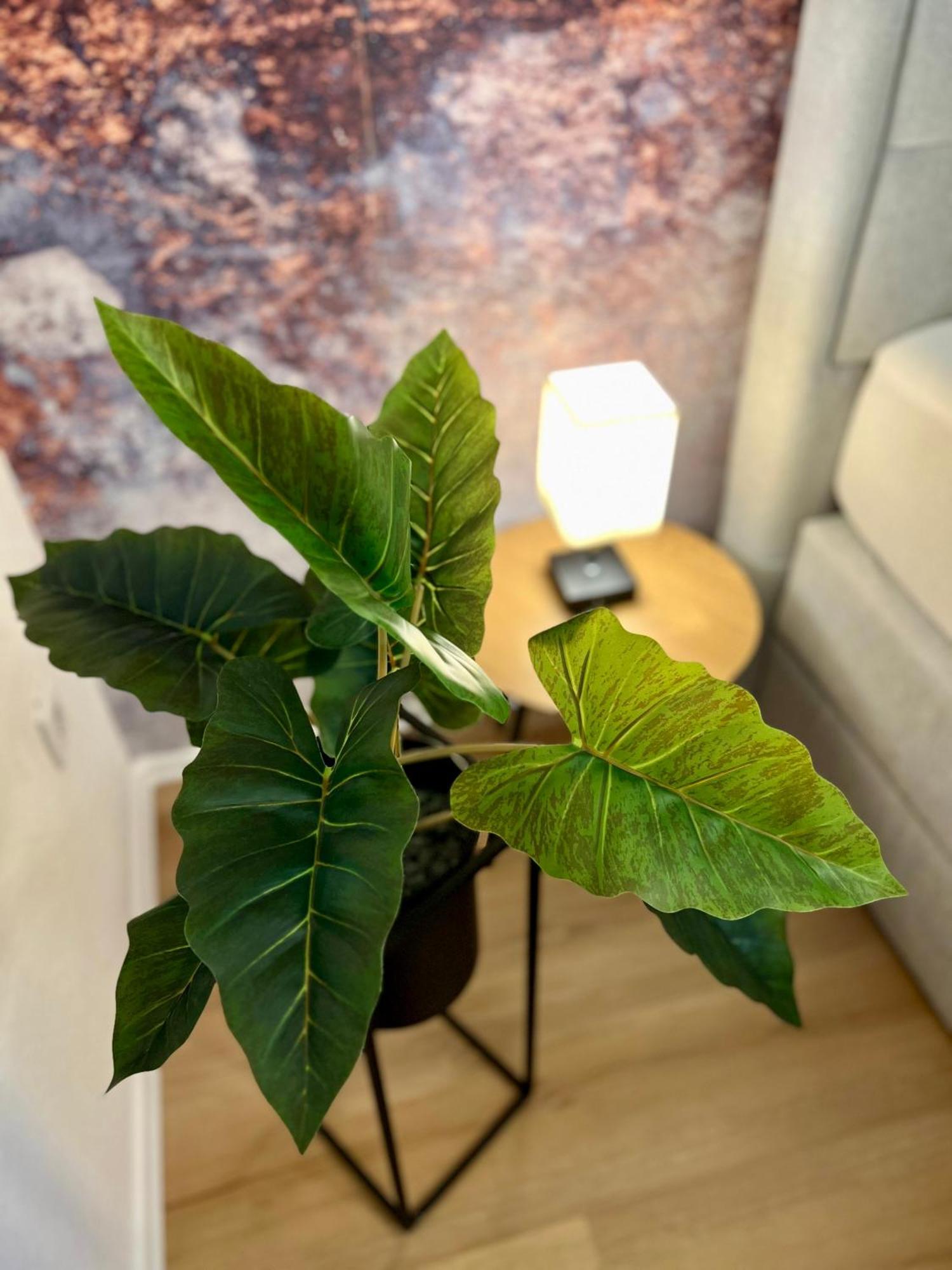 דירות וירצבורג Main Cozy Casa Am Ringpark Free Parking מראה חיצוני תמונה